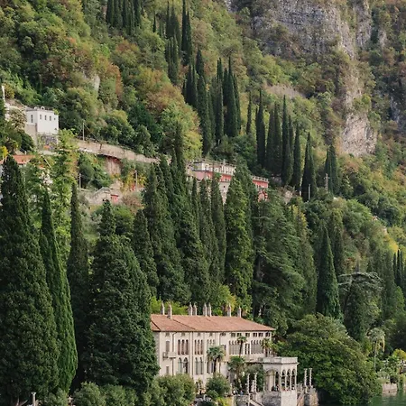 Cipressi, By R Collection