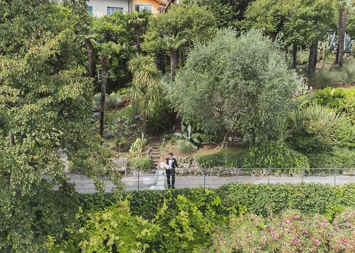 Cipressi, By R Collection