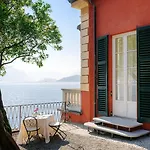 Cipressi, By R Collection