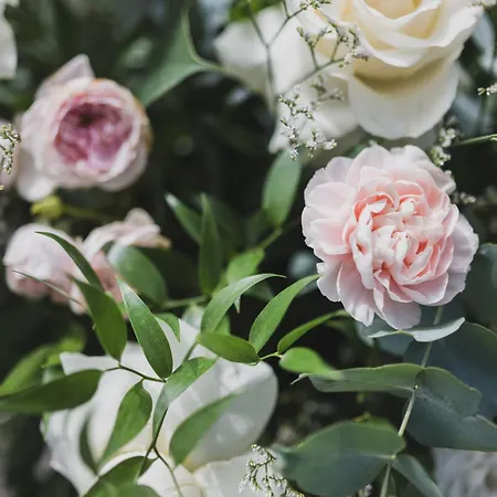 Cipressi, By R Collection 4* Βαρένα