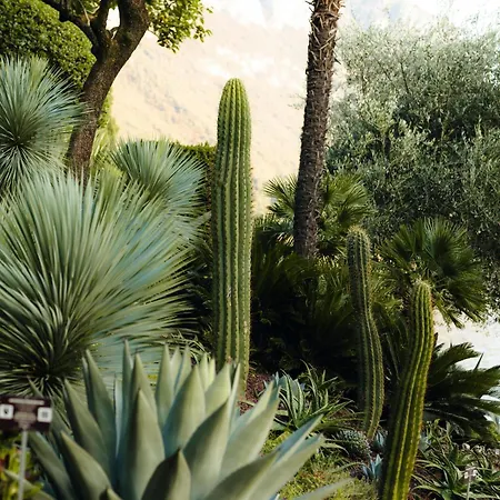 Cipressi, By R Collection Hotel 4*