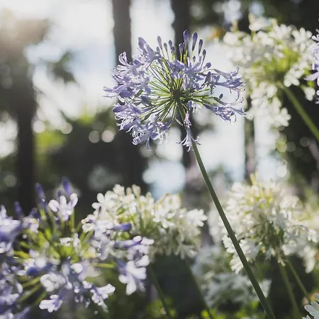 Hotel Cipressi, By R Collection 4*