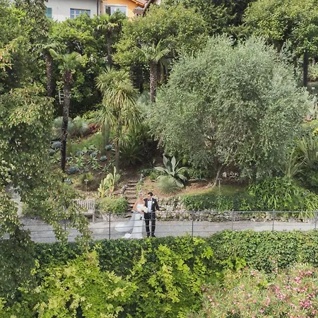 Cipressi, By R Collection