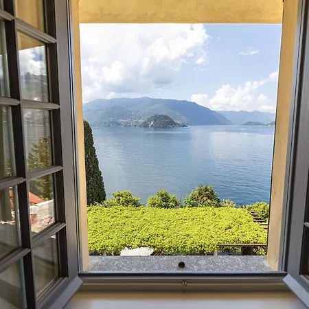 Cipressi, By R Collection