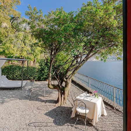 Cipressi, By R Collection