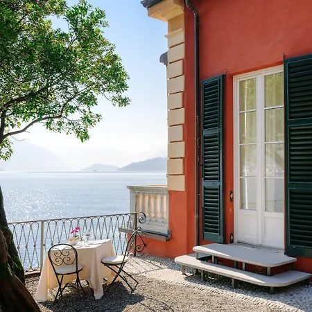 Cipressi, By R Collection