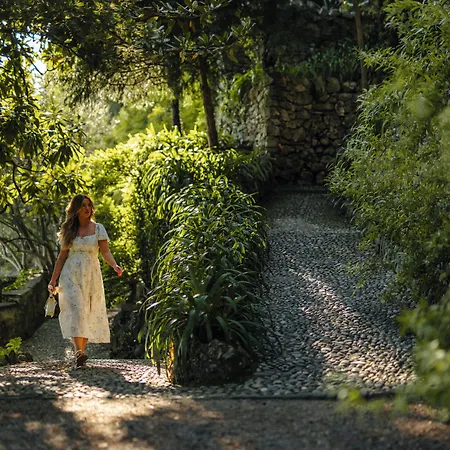 Cipressi, By R Collection Varenna