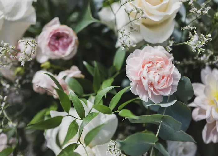 Cipressi, By R Collection 4* Варенна