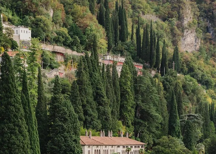 Cipressi, By R Collection