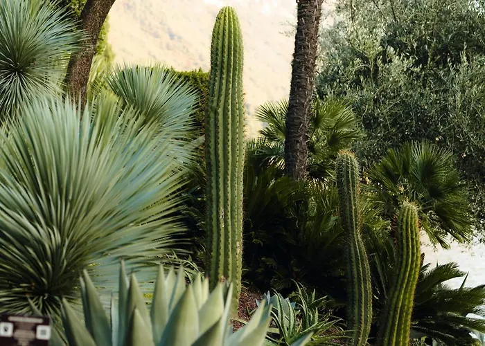 Cipressi, By R Collection Hotel 4*