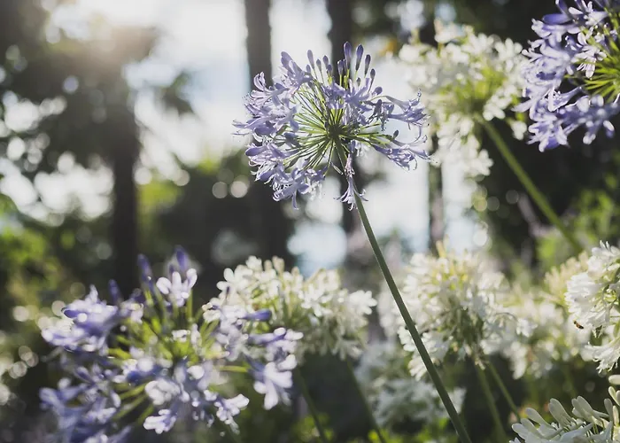 Hotel Cipressi, By R Collection 4*